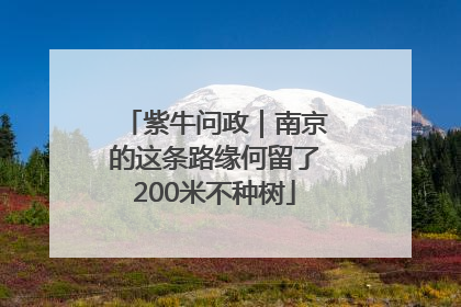 紫牛问政｜南京的这条路缘何留了200米不种树