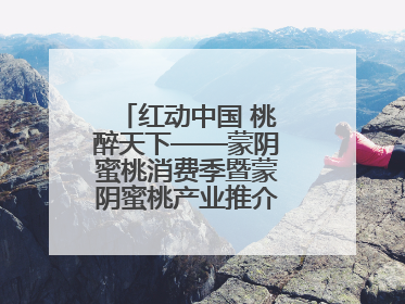 红动中国 桃醉天下——蒙阴蜜桃消费季暨蒙阴蜜桃产业推介会成功举办