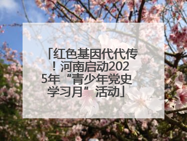 红色基因代代传！河南启动2025年“青少年党史学习月”活动