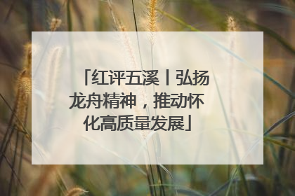 红评五溪丨弘扬龙舟精神，推动怀化高质量发展