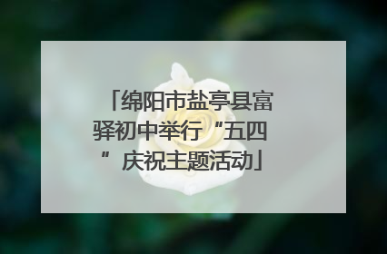 绵阳市盐亭县富驿初中举行“五四”庆祝主题活动