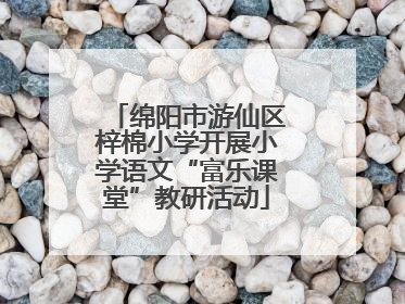 绵阳市游仙区梓棉小学开展小学语文“富乐课堂”教研活动