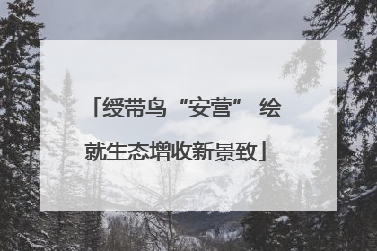 绶带鸟“安营” 绘就生态增收新景致