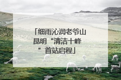细雨沁润老爷山 昆明“清洁十峰”首站启程
