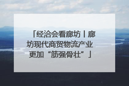 经洽会看廊坊丨廊坊现代商贸物流产业更加“筋强骨壮”