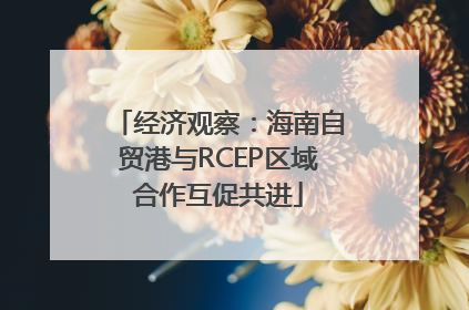 经济观察：海南自贸港与RCEP区域合作互促共进