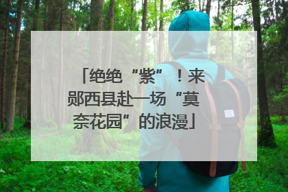 绝绝“紫”！来郧西县赴一场“莫奈花园”的浪漫