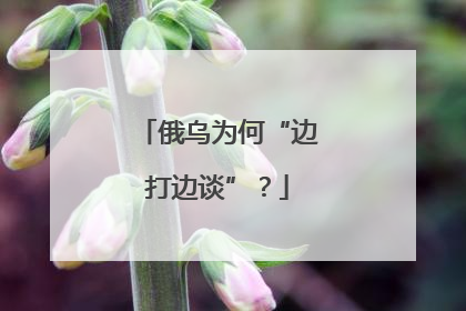 俄乌为何“边打边谈”？