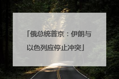 俄总统普京：伊朗与以色列应停止冲突