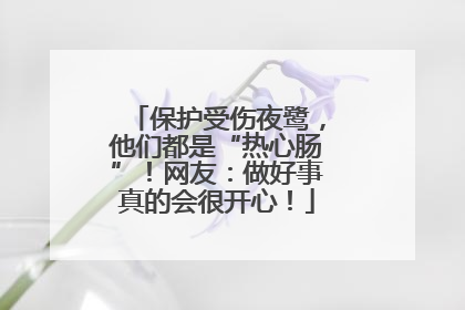 保护受伤夜鹭，他们都是“热心肠”！网友：做好事真的会很开心！