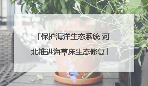 保护海洋生态系统 河北推进海草床生态修复