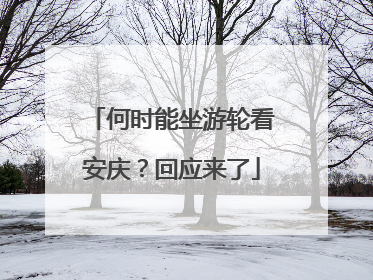 何时能坐游轮看安庆？回应来了