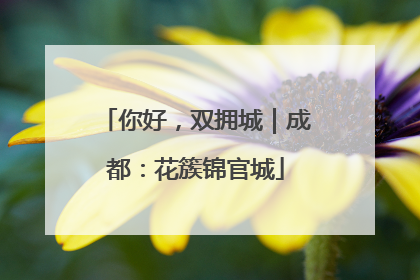 你好，双拥城｜成都：花簇锦官城