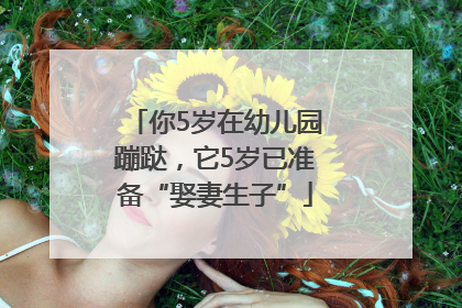 你5岁在幼儿园蹦跶，它5岁已准备“娶妻生子”