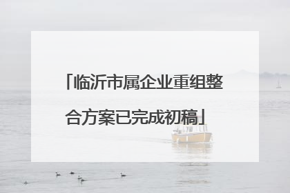 临沂市属企业重组整合方案已完成初稿