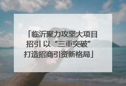临沂聚力攻坚大项目招引 以“三重突破”打造招商引资新格局