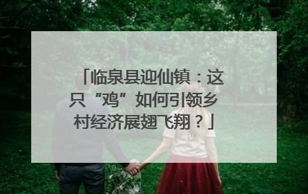 临泉县迎仙镇：这只“鸡”如何引领乡村经济展翅飞翔？