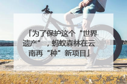 为了保护这个“世界遗产”，蚂蚁森林在云南再“种”新项目