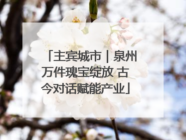 主宾城市｜泉州万件瑰宝绽放 古今对话赋能产业