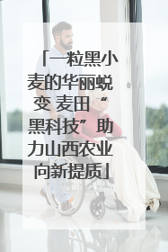 一粒黑小麦的华丽蜕变 麦田“黑科技”助力山西农业向新提质