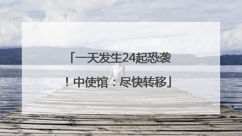 一天发生24起恐袭！中使馆：尽快转移