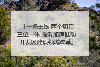 一条主线 两个切口 三位一体 临沂加速推动开发区建设领域改革