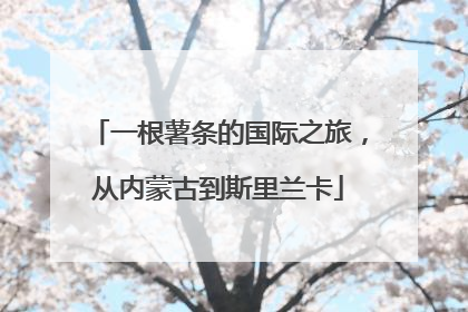 一根薯条的国际之旅，从内蒙古到斯里兰卡