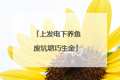 上发电下养鱼 废坑塘巧生金