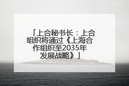 上合秘书长：上合组织将通过《上海合作组织至2035年发展战略》