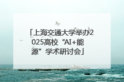 上海交通大学举办2025高校“AI+能源”学术研讨会