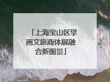 上海宝山区擘画文旅商体展融合新图景