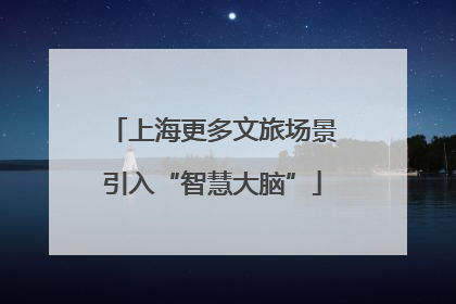 上海更多文旅场景引入“智慧大脑”