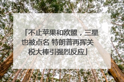 不止苹果和欧盟，三星也被点名 特朗普再挥关税大棒引强烈反应