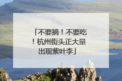 不要摘！不要吃！杭州街头正大量出现紫叶李