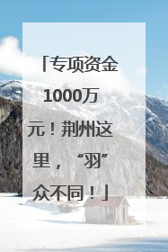 专项资金1000万元！荆州这里，“羽”众不同！