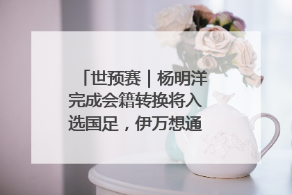 世预赛｜杨明洋完成会籍转换将入选国足，伊万想通了要打双后腰？
