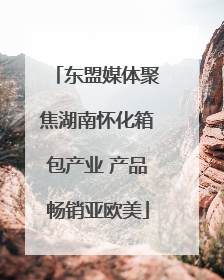 东盟媒体聚焦湖南怀化箱包产业 产品畅销亚欧美