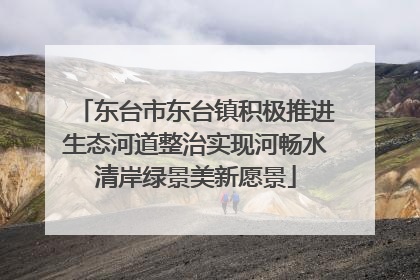 东台市东台镇积极推进生态河道整治实现河畅水清岸绿景美新愿景