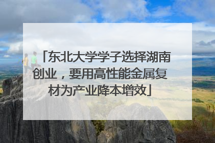 东北大学学子选择湖南创业，要用高性能金属复材为产业降本增效