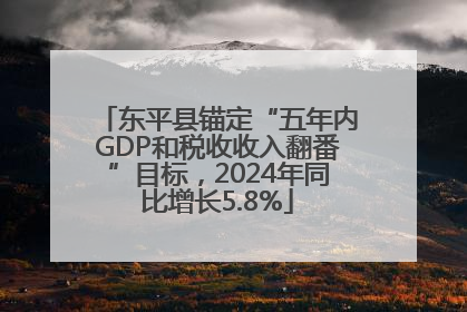 东平县锚定“五年内GDP和税收收入翻番”目标，2024年同比增长5.8%