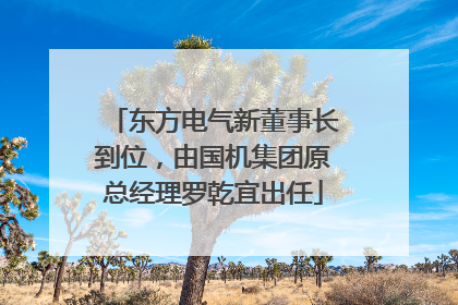 东方电气新董事长到位，由国机集团原总经理罗乾宜出任