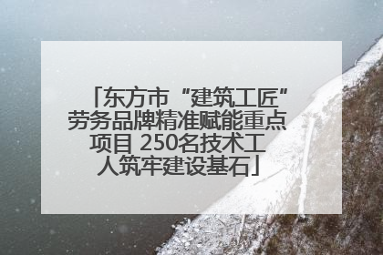 东方市“建筑工匠”劳务品牌精准赋能重点项目 250名技术工人筑牢建设基石