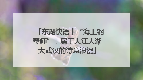 东湖快语丨“海上钢琴师”，属于大江大湖大武汉的诗意浪漫