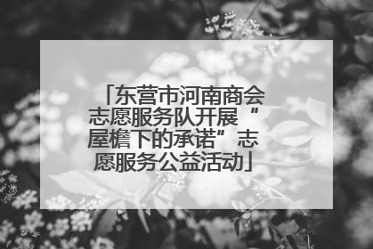 东营市河南商会志愿服务队开展“屋檐下的承诺”志愿服务公益活动