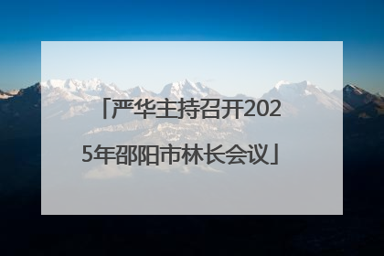 严华主持召开2025年邵阳市林长会议