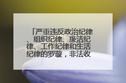 严重违反政治纪律、组织纪律、廉洁纪律、工作纪律和生活纪律的罗璇，非法收受他人巨额财物