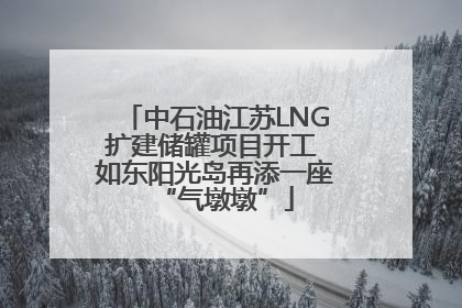 中石油江苏LNG扩建储罐项目开工 如东阳光岛再添一座“气墩墩”
