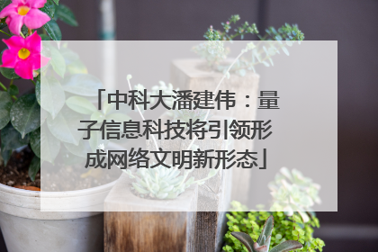 中科大潘建伟：量子信息科技将引领形成网络文明新形态