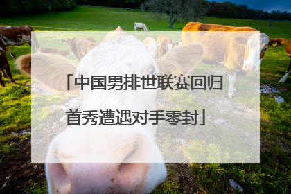 中国男排世联赛回归首秀遭遇对手零封