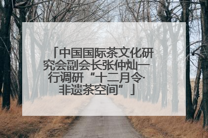 中国国际茶文化研究会副会长张仲灿一行调研“十二月令·非遗茶空间”